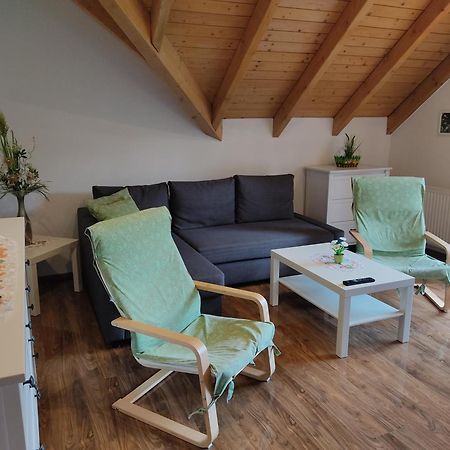 Gemuetliche Ferienwohnung Im Schoenen Erzgebirge - Wohnung Fruehling 艾本施托克 外观 照片
